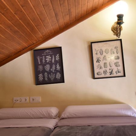 La Mansion De Compania Apartamentosmalagamanagement Екстер'єр фото